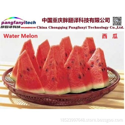 Fresh Tasty Healthy Self-planted Sweet Water Melon